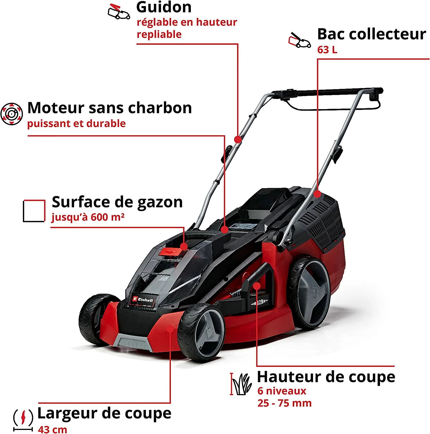 Einhell GE-CM 43 Li M Kit (2x4,0Ah) - Tondeuse à Gazon Sans Fil 43 cm, Jusqu'à 600m², Batterie Incluse – Image 3