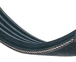 Courroie Poly-V 1016 J 5 pour Dégauchisseuse Kity 647 / BC 260 - Pièce détachée haute qualité