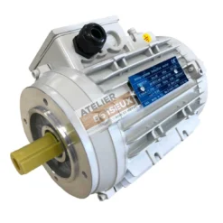 Moteur 230V Monophasé 0.98 KW pour Combiné Scheppach, Kity et Woodster | Pièces Détachées pour Machines à Bois