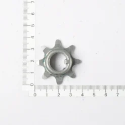 SCHEPPACH - Pignon D'entraînement Pour Raboteuse PLM1800 - Pièce Détachée Originale