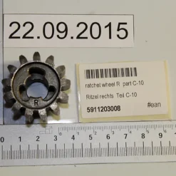 Scheppach - Pignon Droit Pour Tondeuse à Gazon MS173-51E, MS750-51 et MS196-51E - Pièce Détachée Originale