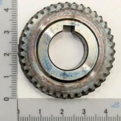 Pignon Pour Scie à Onglet Radiale HM216 Et HM81LXU - Pièce Détachée Scheppach