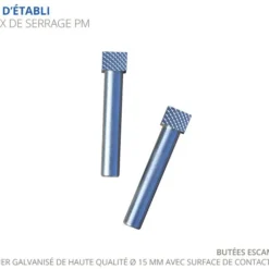 Paire de Poteaux de Serrage ÉTABLIS FRANÇOIS - Petit Modèle ø15 Mm en Acier Galvanisé