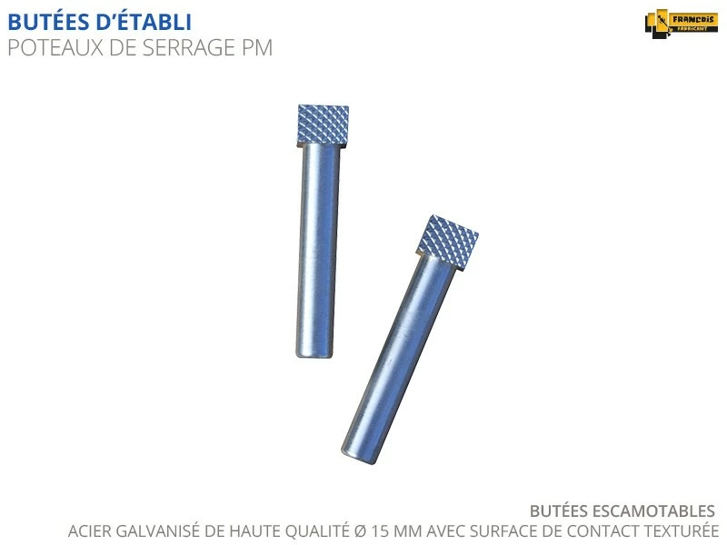 Paire de Poteaux de Serrage ÉTABLIS FRANÇOIS - Petit Modèle ø15 Mm en Acier Galvanisé