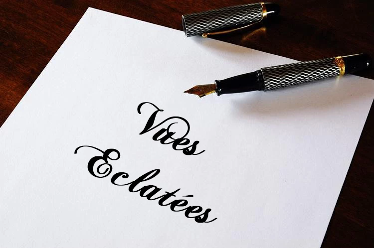 Vue éclatée Dms1200vario Et TAB 662 - Pièces Détachées & Courroies | Documentation FR